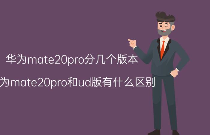 华为mate20pro分几个版本 华为mate20pro和ud版有什么区别？